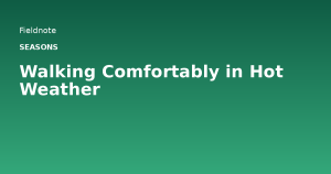 Read more about the article Walking Comfortably in Hot Weather