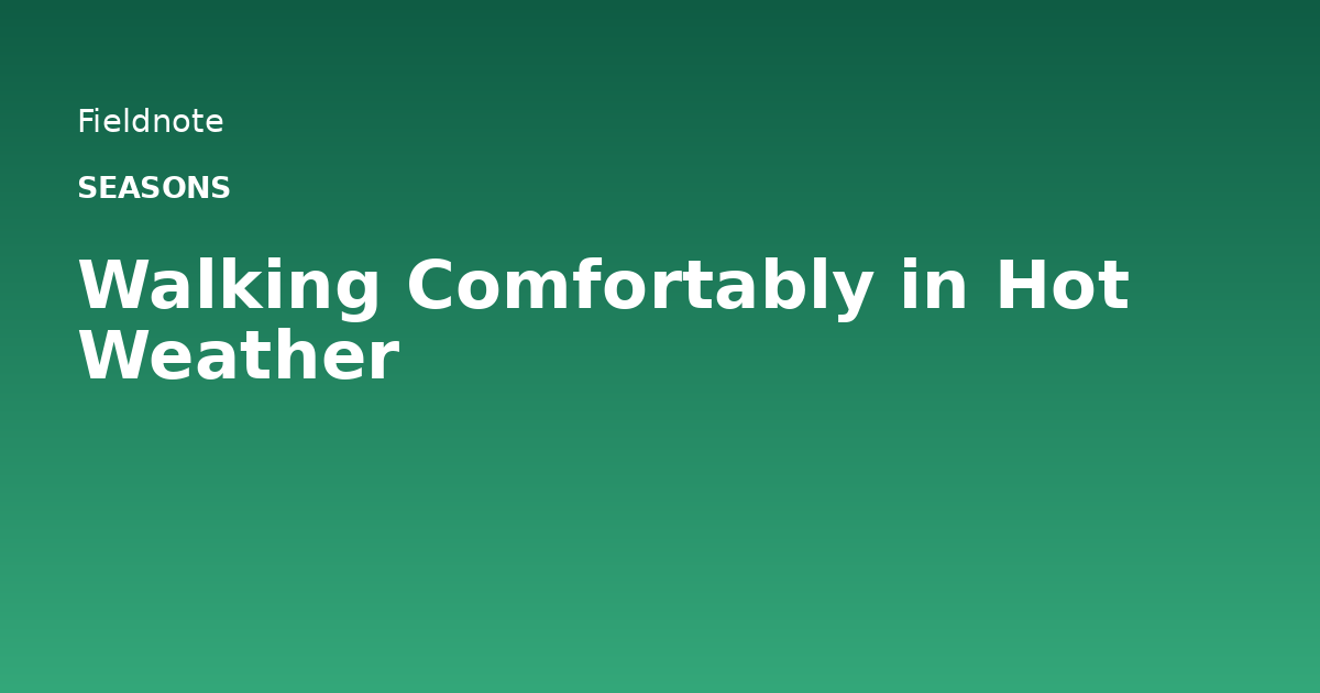 Read more about the article Walking Comfortably in Hot Weather
