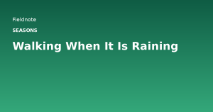 Read more about the article Walking When It Is Raining