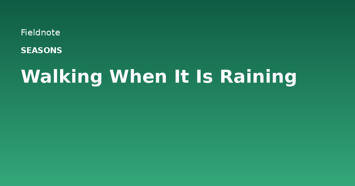 Read more about the article Walking When It Is Raining