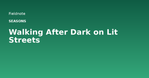 Read more about the article Walking After Dark on Lit Streets