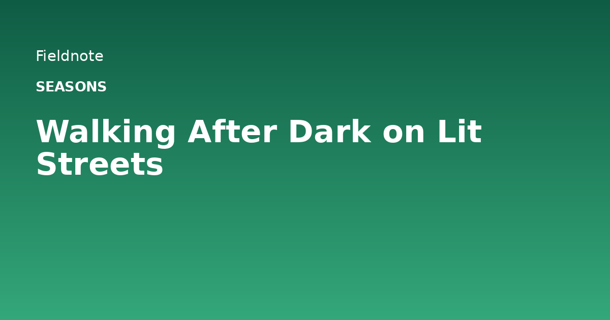 Read more about the article Walking After Dark on Lit Streets