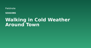 Read more about the article Walking in Cold Weather Around Town