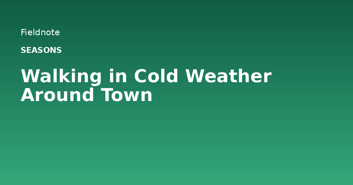 Read more about the article Walking in Cold Weather Around Town