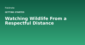 Read more about the article Watching Wildlife From a Respectful Distance