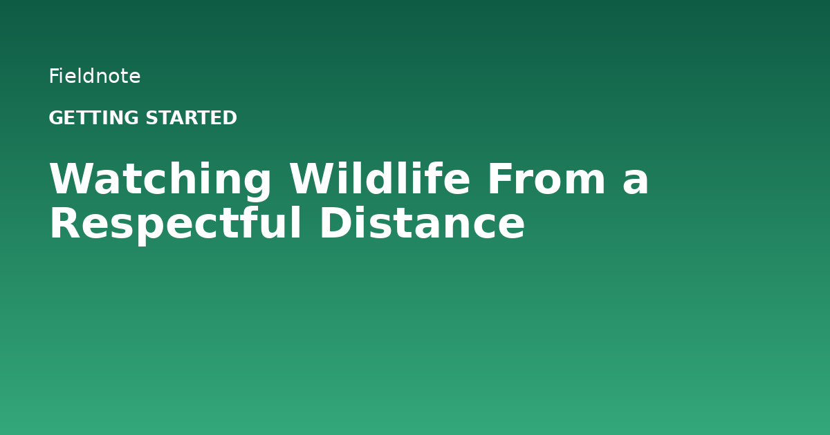 Read more about the article Watching Wildlife From a Respectful Distance