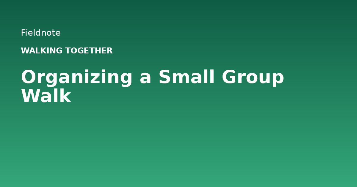Read more about the article Organizing a Small Group Walk