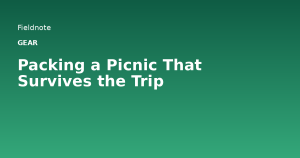 Read more about the article Packing a Picnic That Survives the Trip