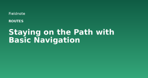Read more about the article Staying on the Path with Basic Navigation