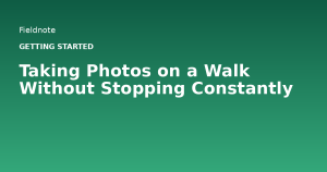 Read more about the article Taking Photos on a Walk Without Stopping Constantly