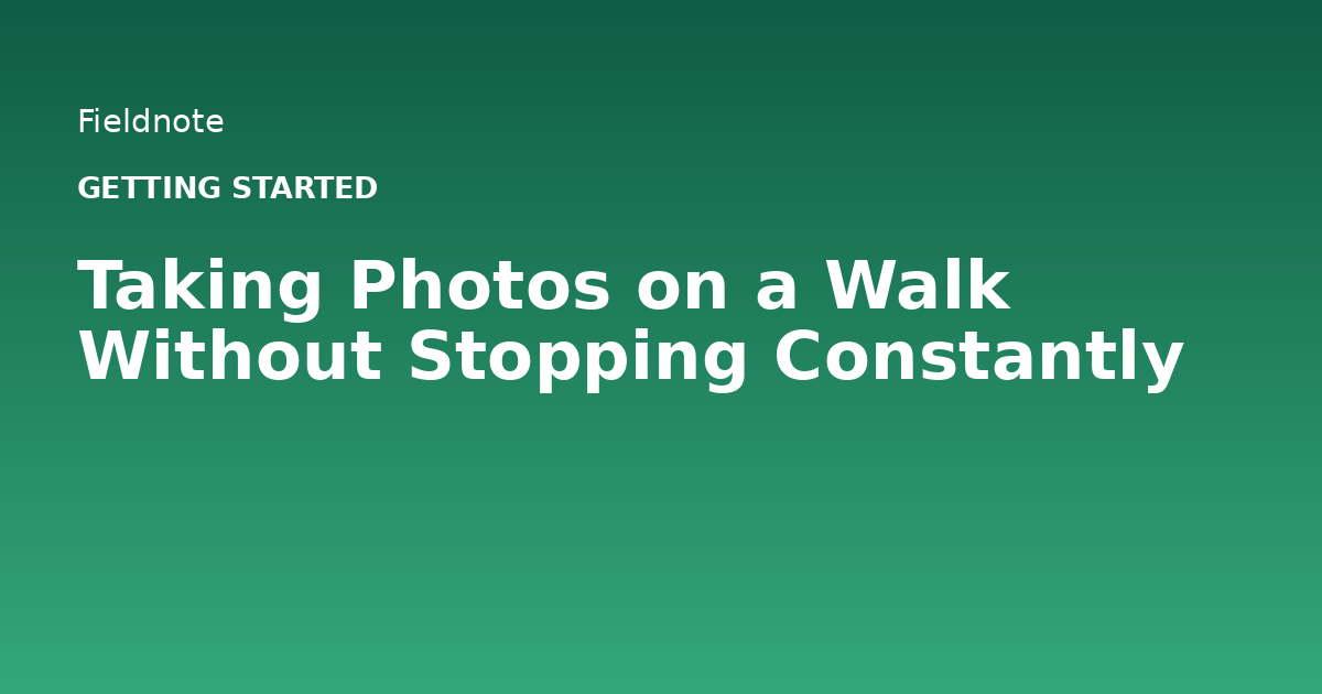 Read more about the article Taking Photos on a Walk Without Stopping Constantly